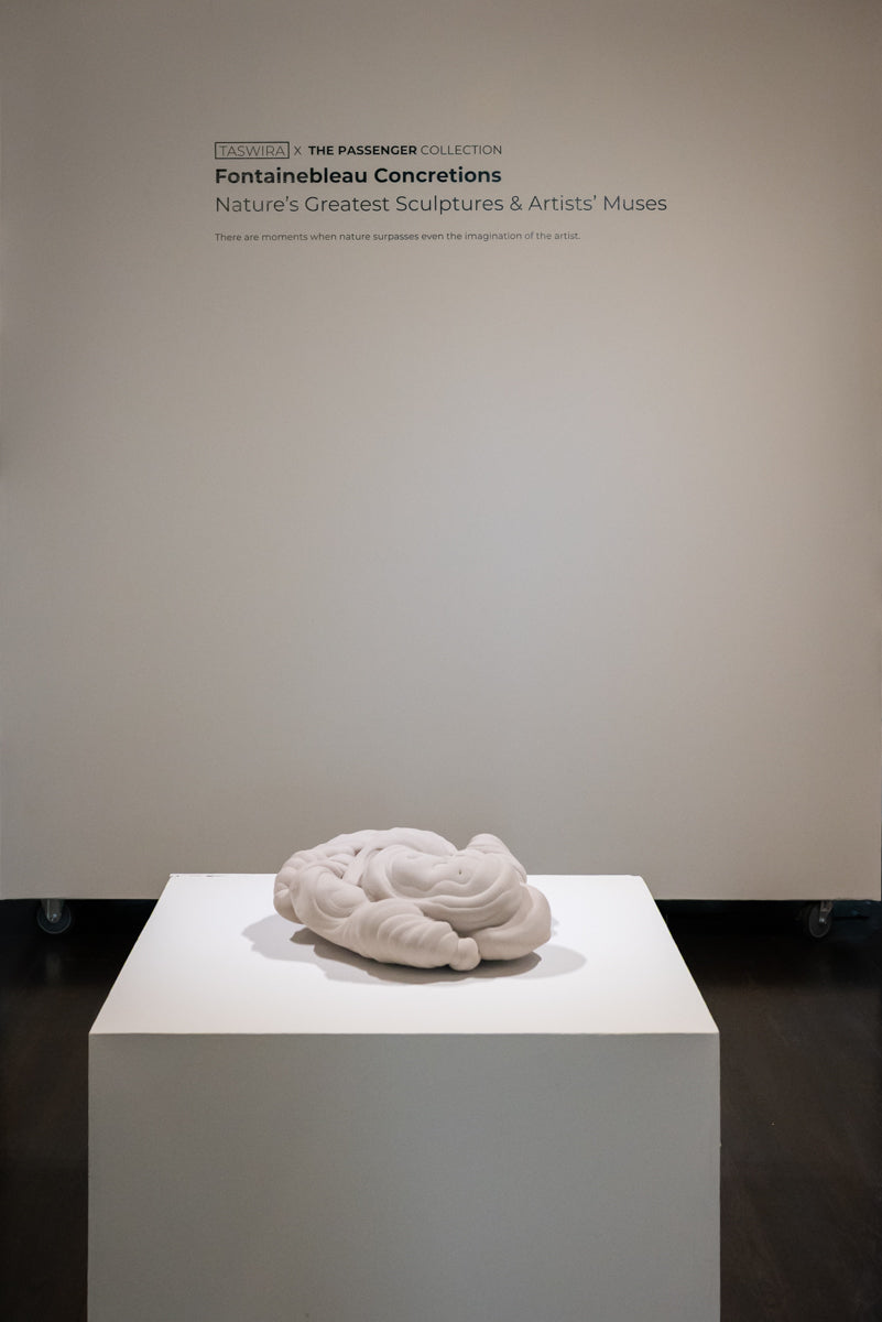 Private Tour of Fontainebleau Concretions